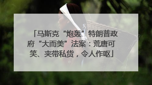 马斯克“炮轰”特朗普政府“大而美”法案：荒唐可笑、夹带私货，令人作呕