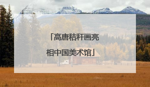 高唐秸秆画亮相中国美术馆