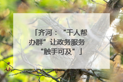 齐河：“千人帮办群”让政务服务“触手可及”