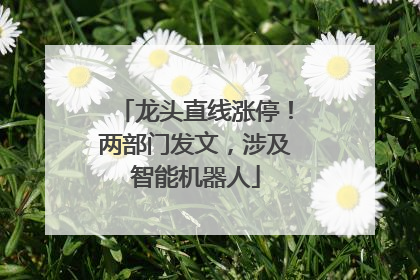 龙头直线涨停！两部门发文，涉及智能机器人