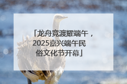 龙舟竞渡耀端午，2025嘉兴端午民俗文化节开幕