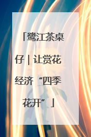鹭江茶桌仔｜让赏花经济“四季花开”