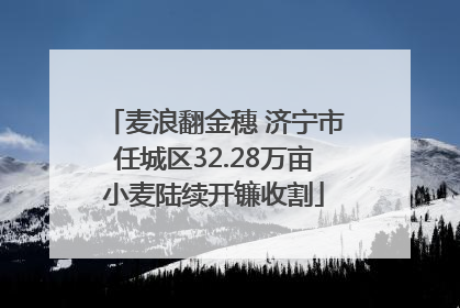 麦浪翻金穗 济宁市任城区32.28万亩小麦陆续开镰收割