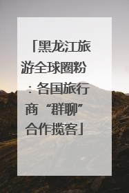 黑龙江旅游全球圈粉：各国旅行商“群聊”合作揽客