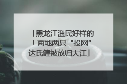 黑龙江渔民好样的！两地两只“投网”达氏鳇被放归大江