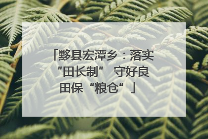 黟县宏潭乡：落实“田长制” 守好良田保“粮仓”