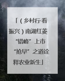 （乡村行·看振兴）南湖红菱“错峰”上市 “抢早”之道诠释农业新生