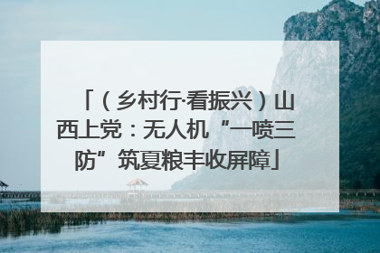 （乡村行·看振兴）山西上党：无人机“一喷三防”筑夏粮丰收屏障