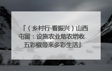 （乡村行·看振兴）山西屯留：设施农业助农增收 五彩椒带来多彩生活