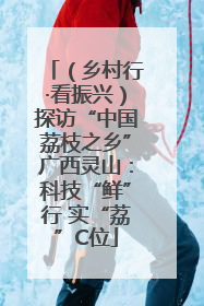 （乡村行·看振兴）探访“中国荔枝之乡”广西灵山：科技“鲜”行 实“荔”C位