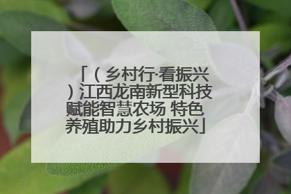 （乡村行·看振兴）江西龙南新型科技赋能智慧农场 特色养殖助力乡村振兴
