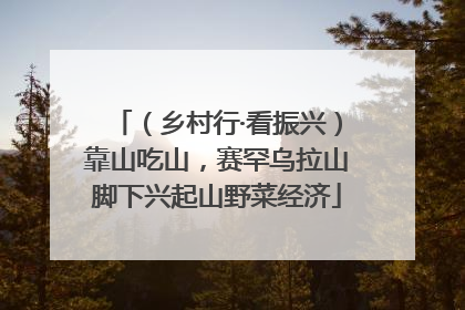 （乡村行·看振兴）靠山吃山，赛罕乌拉山脚下兴起山野菜经济