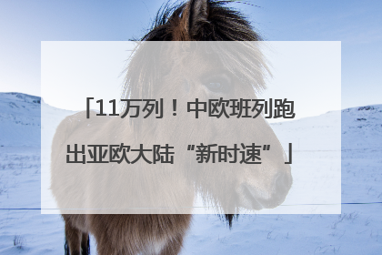 11万列！中欧班列跑出亚欧大陆“新时速”