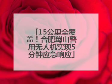 15公里全覆盖！合肥蜀山警用无人机实现5分钟应急响应