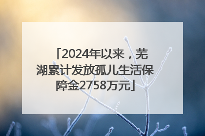 2024年以来，芜湖累计发放孤儿生活保障金2758万元