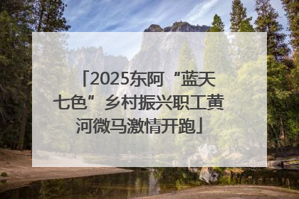 2025东阿“蓝天七色”乡村振兴职工黄河微马激情开跑
