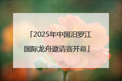 2025年中国汨罗江国际龙舟邀请赛开幕