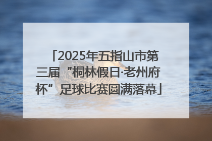 2025年五指山市第三届“桐林假日·老州府杯”足球比赛圆满落幕