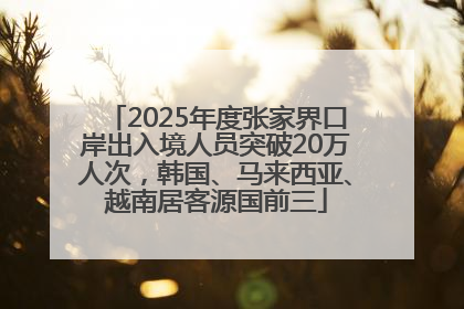 2025年度张家界口岸出入境人员突破20万人次，韩国、马来西亚、越南居客源国前三