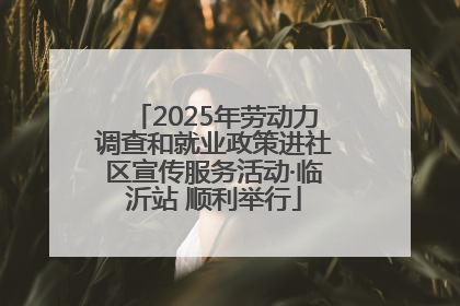 2025年劳动力调查和就业政策进社区宣传服务活动·临沂站 顺利举行