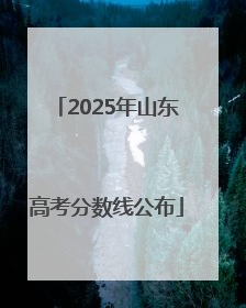 2025年山东高考分数线公布