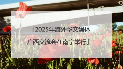 2025年海外华文媒体广西交流会在南宁举行