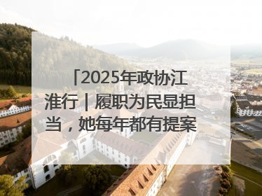 2025年政协江淮行｜履职为民显担当，她每年都有提案被评为“优秀”