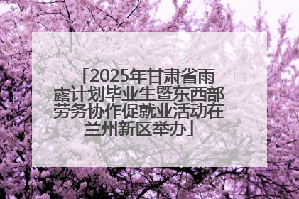2025年甘肃省雨露计划毕业生暨东西部劳务协作促就业活动在兰州新区举办