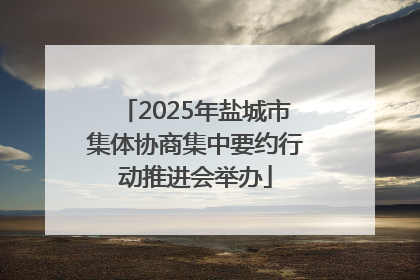 2025年盐城市集体协商集中要约行动推进会举办