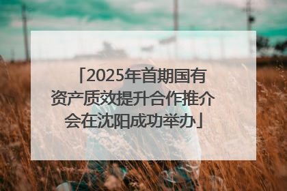 2025年首期国有资产质效提升合作推介会在沈阳成功举办