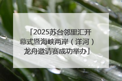 2025苏台邻里汇开幕式暨海峡两岸（洋河）龙舟邀请赛成功举办