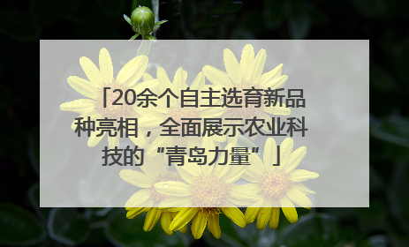 20余个自主选育新品种亮相，全面展示农业科技的“青岛力量”