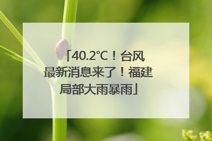 40.2℃！台风最新消息来了！福建局部大雨暴雨