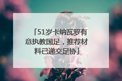 51岁卡纳瓦罗有意执教国足，推荐材料已递交足协