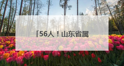 56人！山东省属事业单位招聘啦