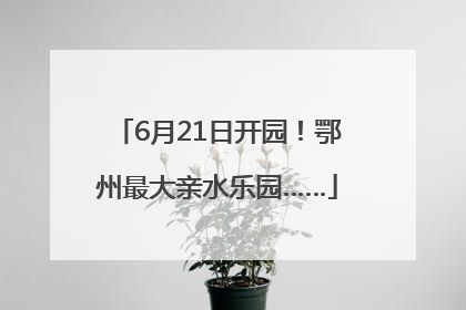 6月21日开园！鄂州最大亲水乐园……