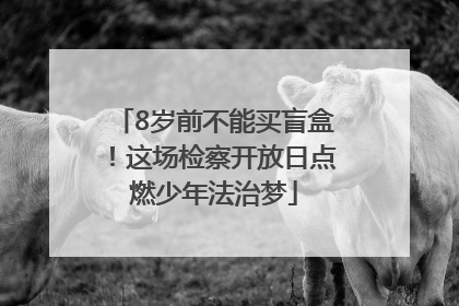 8岁前不能买盲盒！这场检察开放日点燃少年法治梦