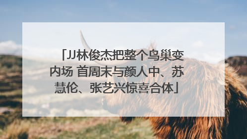 JJ林俊杰把整个鸟巢变内场 首周末与颜人中、苏慧伦、张艺兴惊喜合体